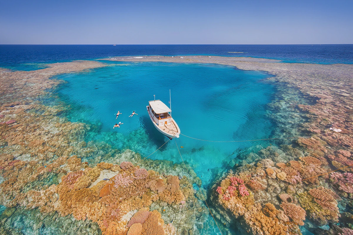 Dolphin House Snorkelling at Samadai Reef Marsa Alam