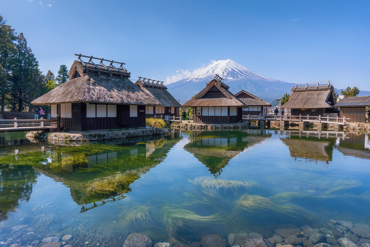 Mount Fuji & Kawaguchiko Day Tour from Tokyo, Halal Lunch Option