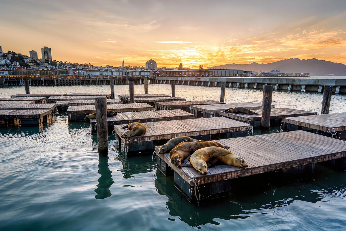Sunset Cruise on San Francisco Bay by Luxury Catamaran