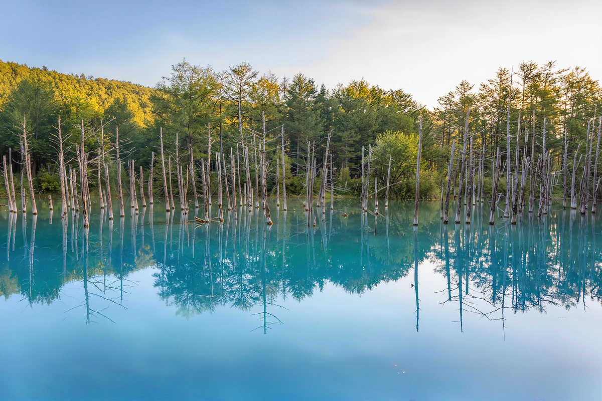 Private Biei & Furano Day Trip from Sapporo