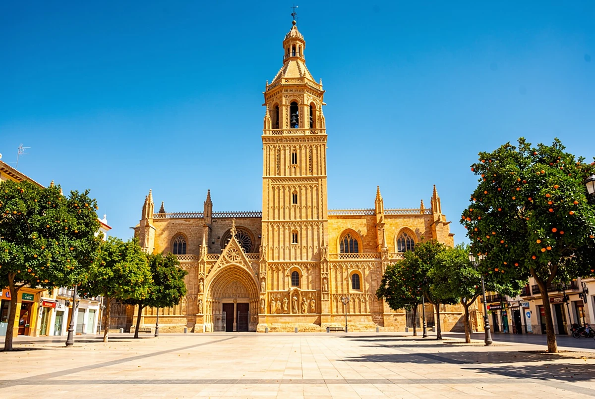 Valencia Cathedral, Saint Nicholas Church and Silk Exchange Tour