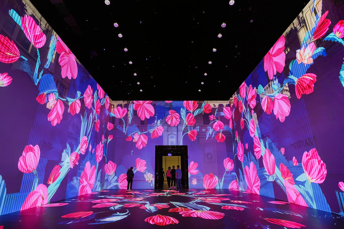 Moco Museum Barcelona Tickets