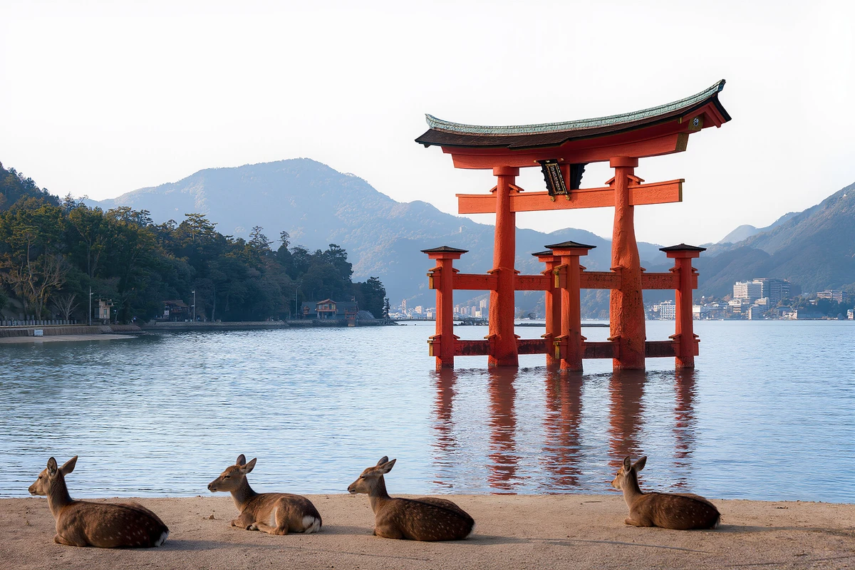 Hiroshima Peace Park & Miyajima Day Tour by Coach