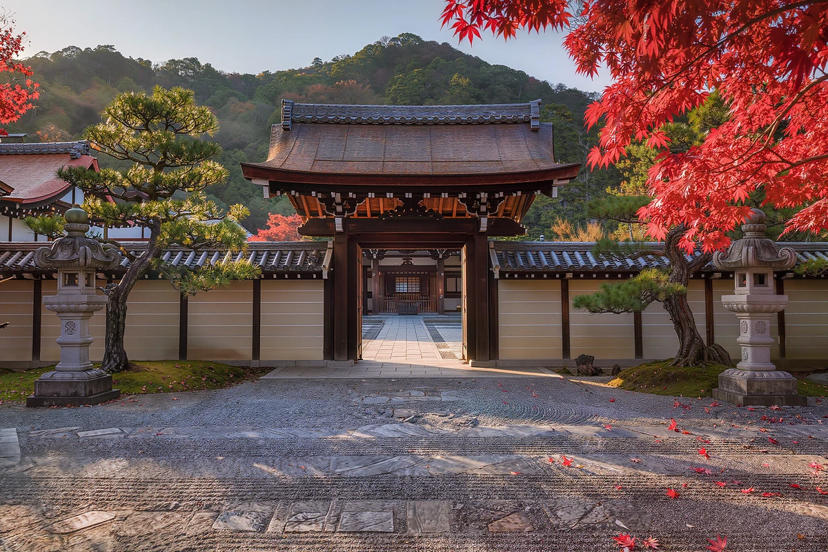 Miyajima Zen Temple Tea Ceremony & Calligraphy Experience