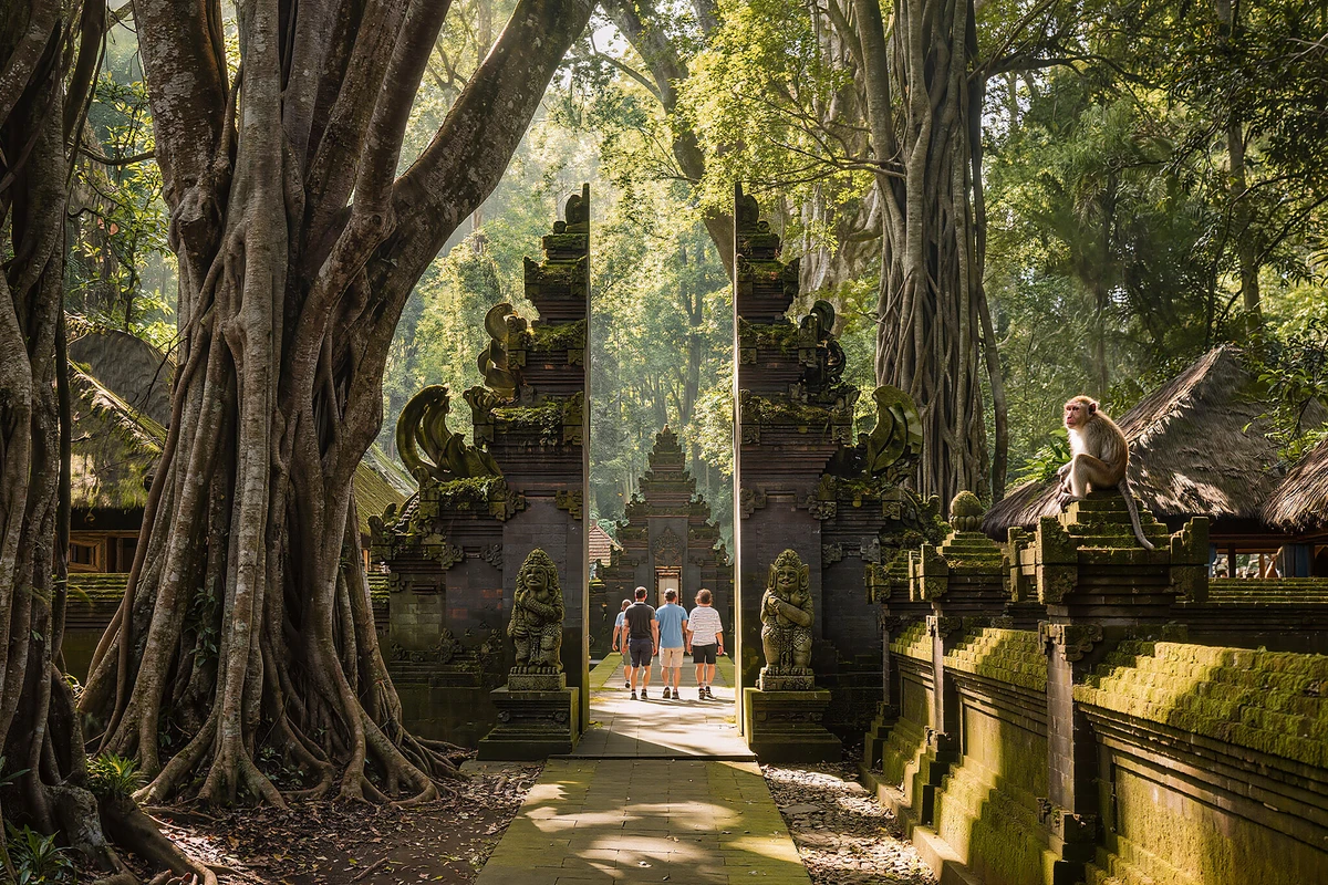 Ubud Full-Day Tour: Monkey Forest, Ceking Rice Terraces, Tegenungan Waterfall & Tirta Empul