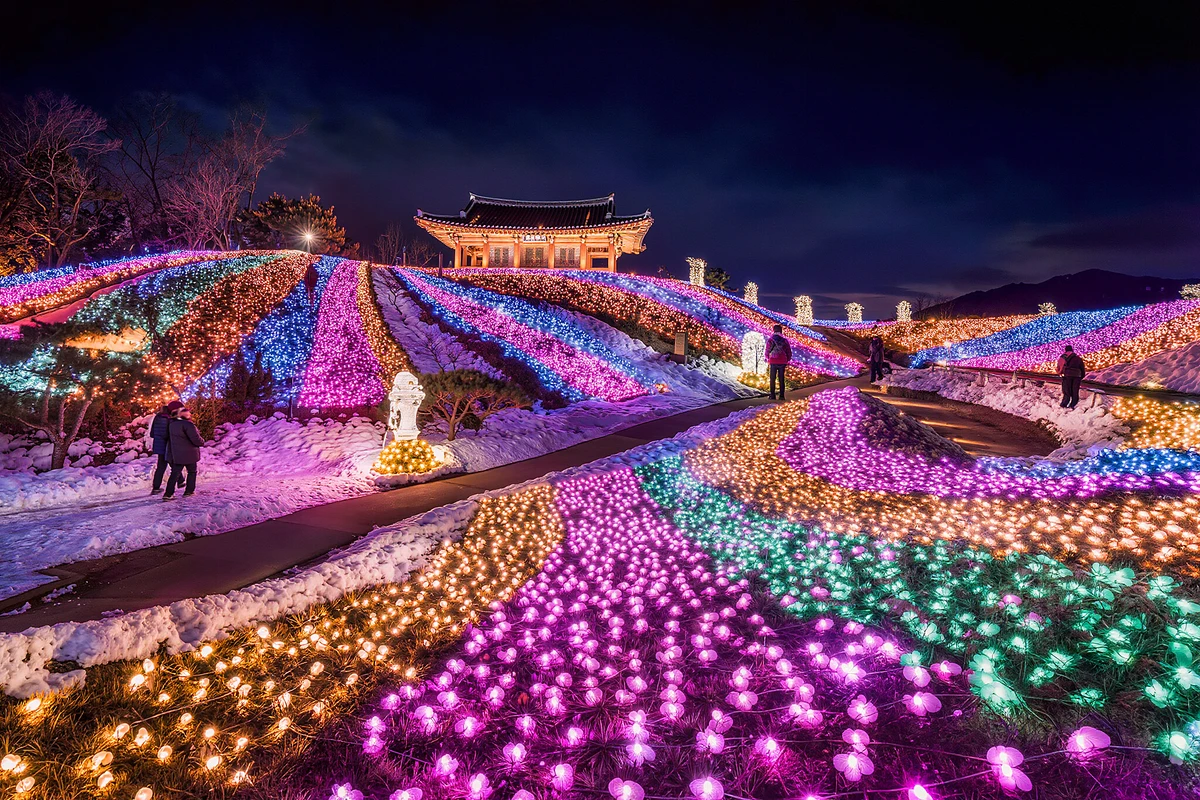 Nami Island & Garden of Morning Calm Day Tour from Seoul