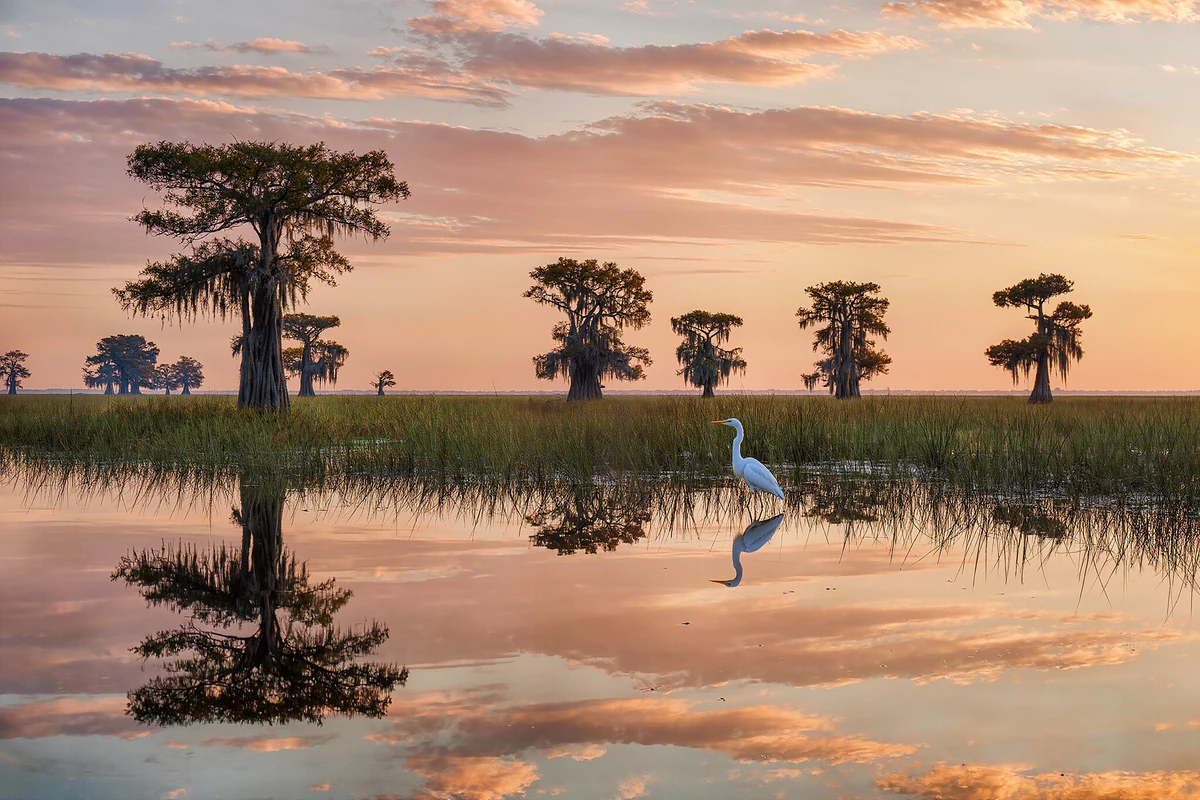 Everglades Airboat Ride and Wildlife Park Orlando