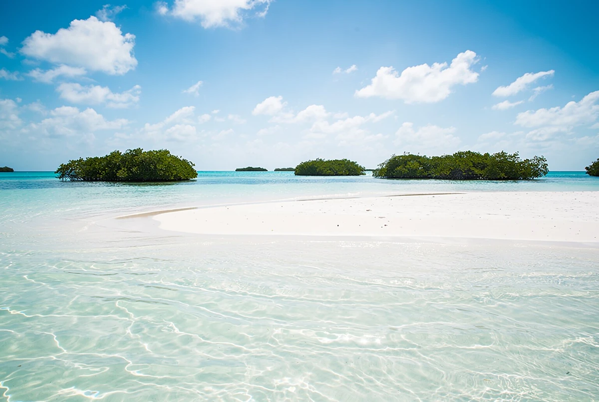 Sandbar Excursion and Kayak Tour with Lunch Key West