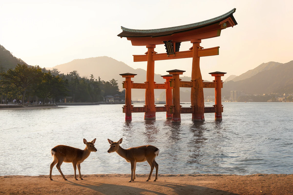 Miyajima Half-Day Guided Tour from Hiroshima