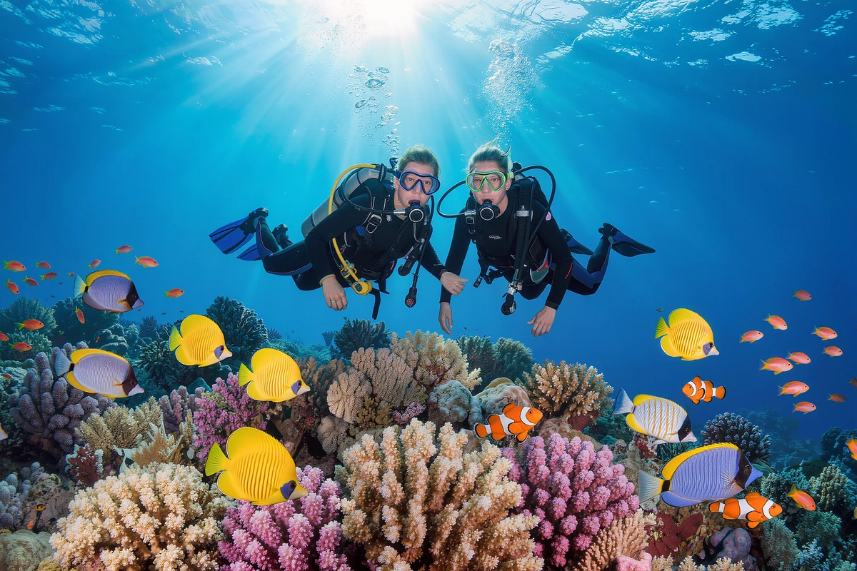 Orange Bay Snorkelling Cruise with Try Dive and Massage Makadi Bay
