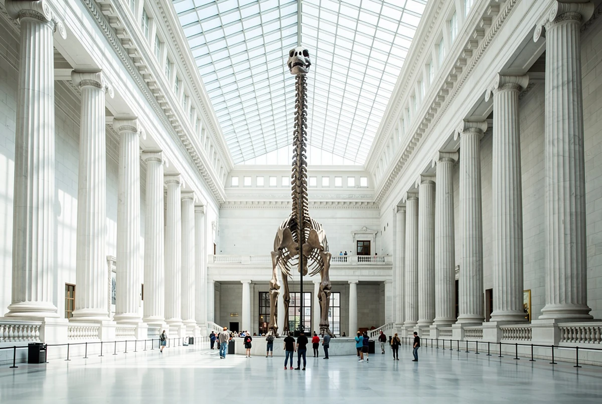 Field Museum of Natural History Tickets Chicago