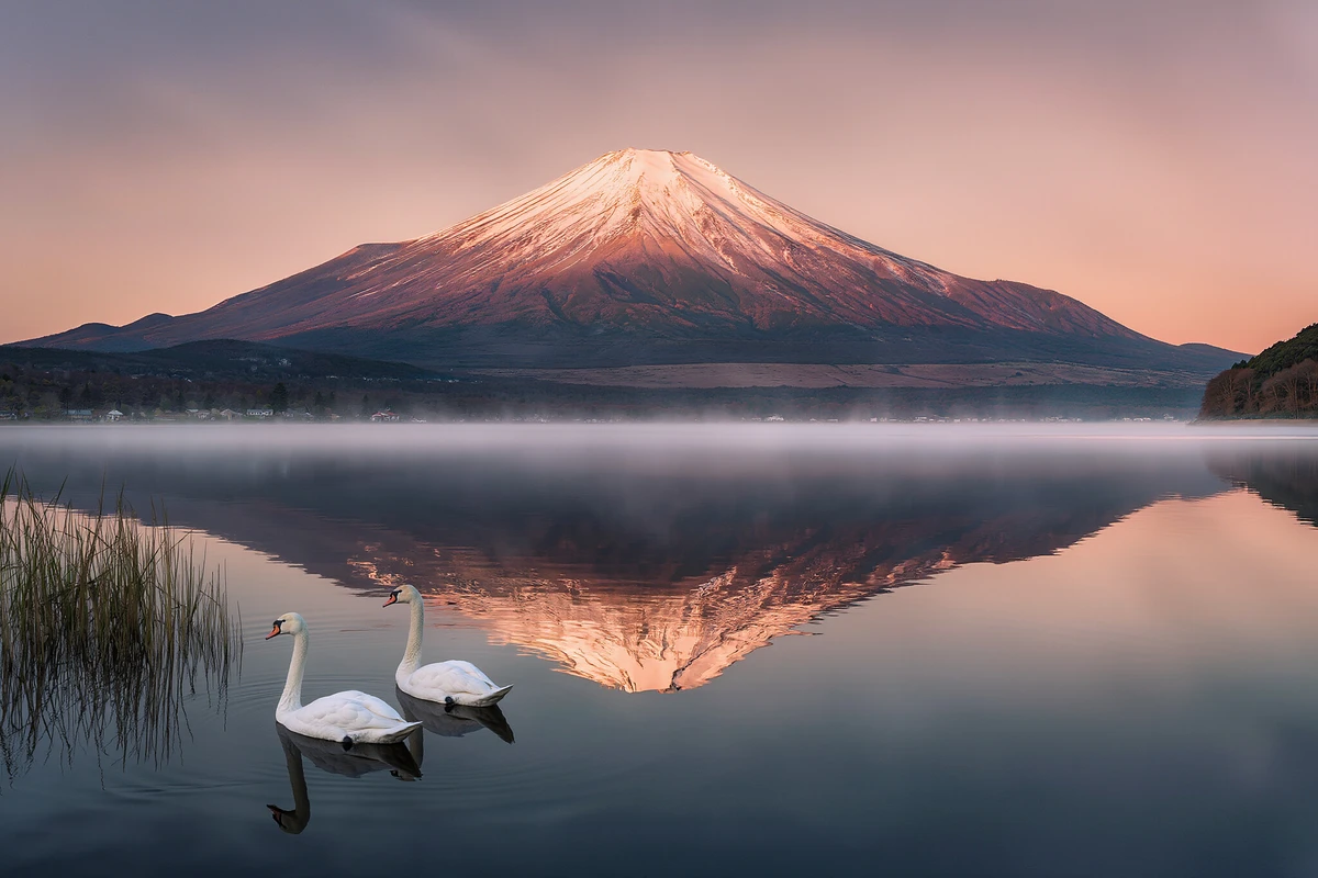Mount Fuji Lakes, Oishi Park & Oshino Hakkai Photo Tour from Tokyo