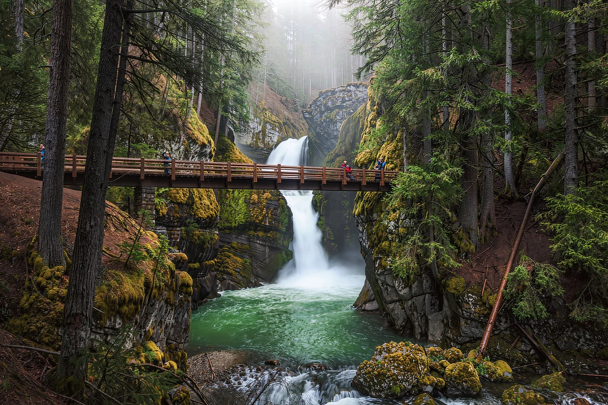 Snoqualmie Falls, Twin Falls and Ancient Forest Tour Seattle