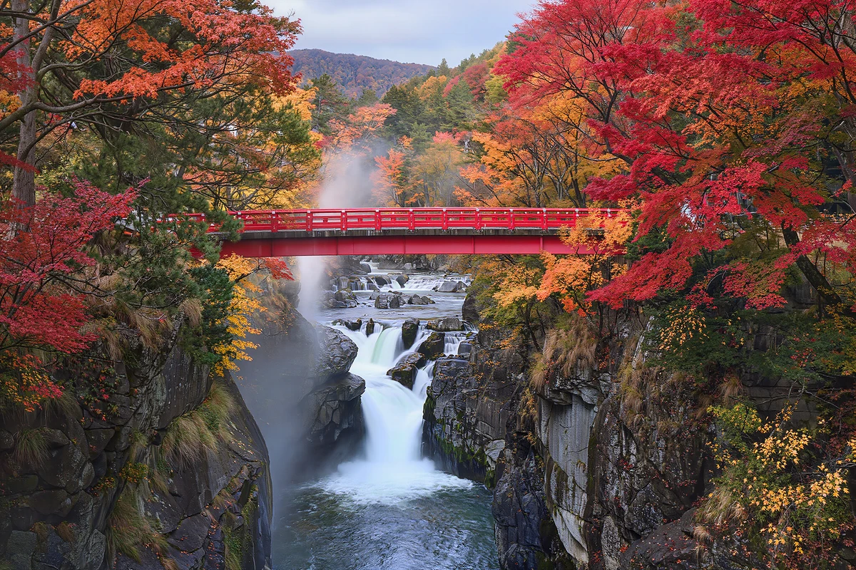 Hokkaido Shrine, Hill of the Buddha & Jozankei Day Tour, Sapporo
