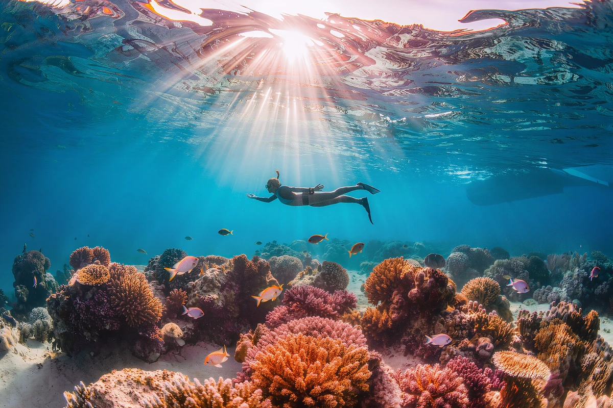 Panorama Semi-Submarine with Snorkelling Makadi Bay