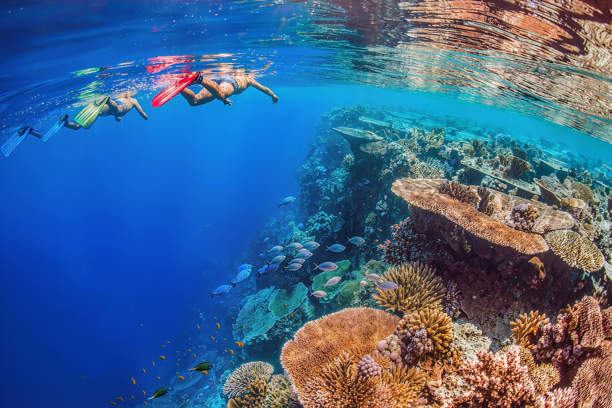 Ras Mohamed & White Island Snorkelling Yacht Cruise with Lunch Sharm El Sheikh