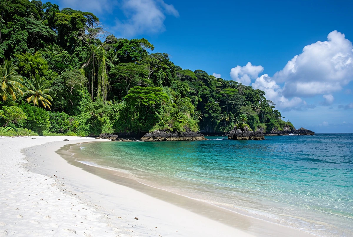 Manuel Antonio National Park Day Trip San José