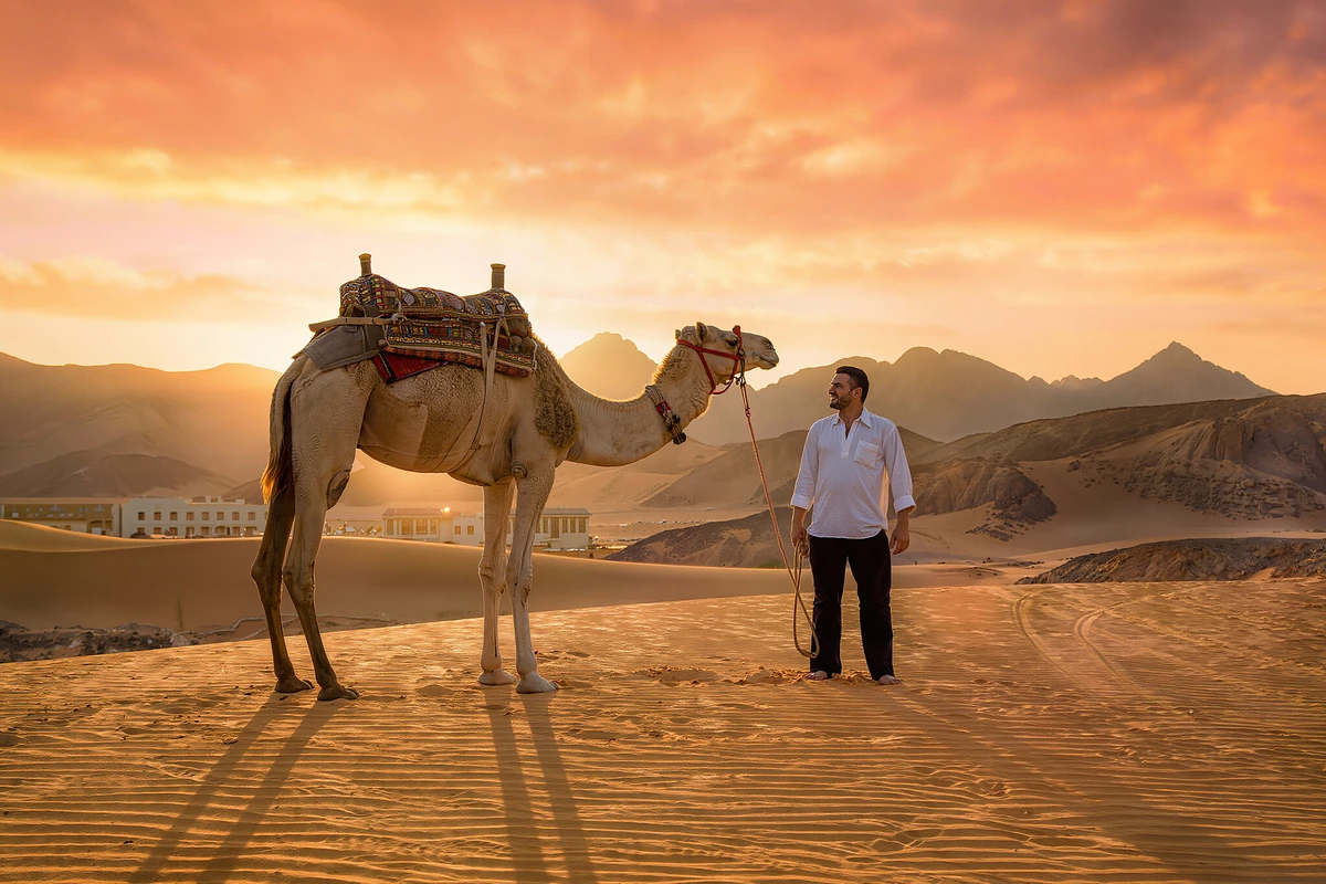 Quad Bike with Sea View, Camel and Dinner Show Makadi Bay