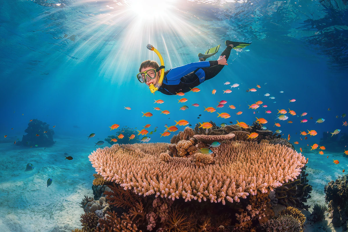 Dolphin House Yacht Trip with Snorkelling and Lunch Sahl Hasheesh