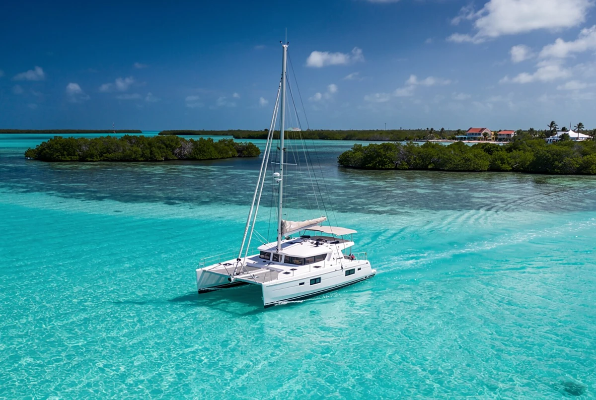 Shark and Wildlife Viewing Catamaran Tour Key West