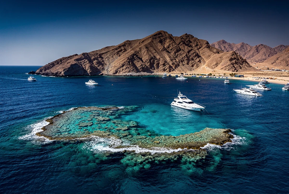 Tiran Island Snorkelling Cruise with Lunch Sharm El Sheikh