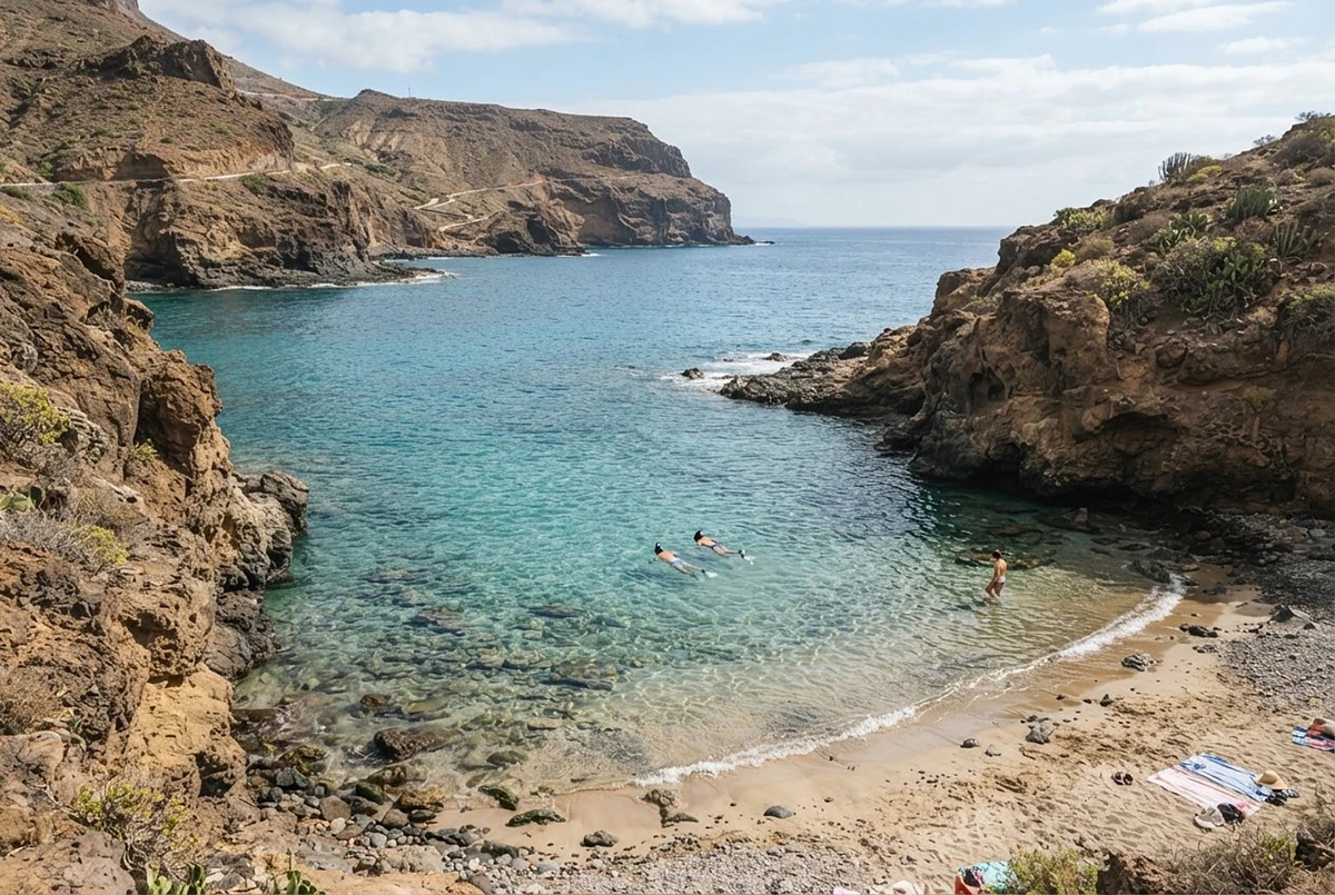 Dolphin Watching Catamaran Cruise with Snorkelling Gran Canaria