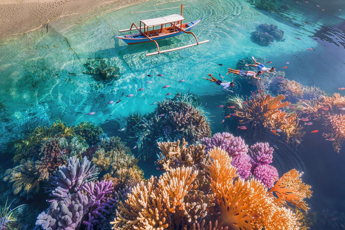 Lovina Sunrise Dolphin Watching & Snorkeling Boat Tour Bali