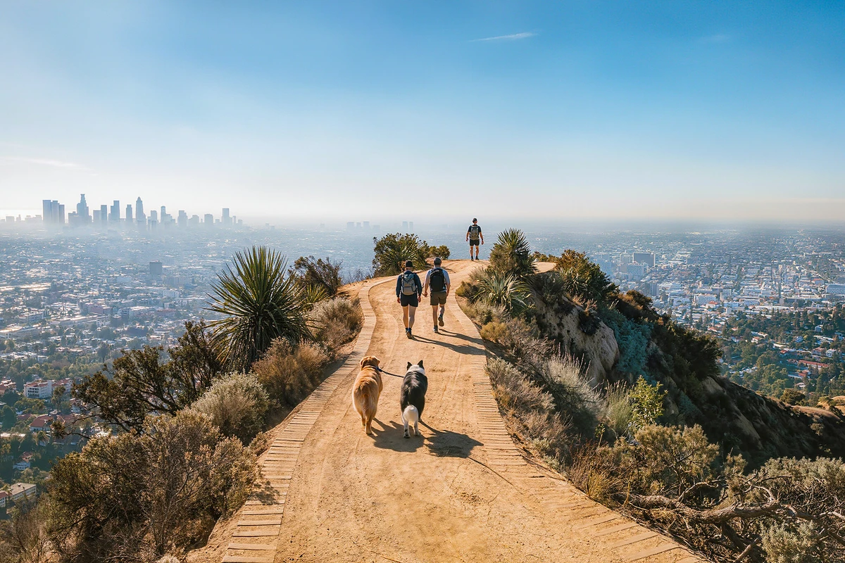 Hollywood Sign Guided Hike with Comedian Guides & Photos Los Angeles