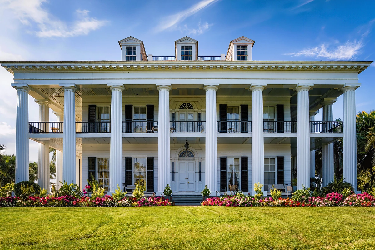 Manchac Swamp and Oak Alley Plantation Day Tour New Orleans