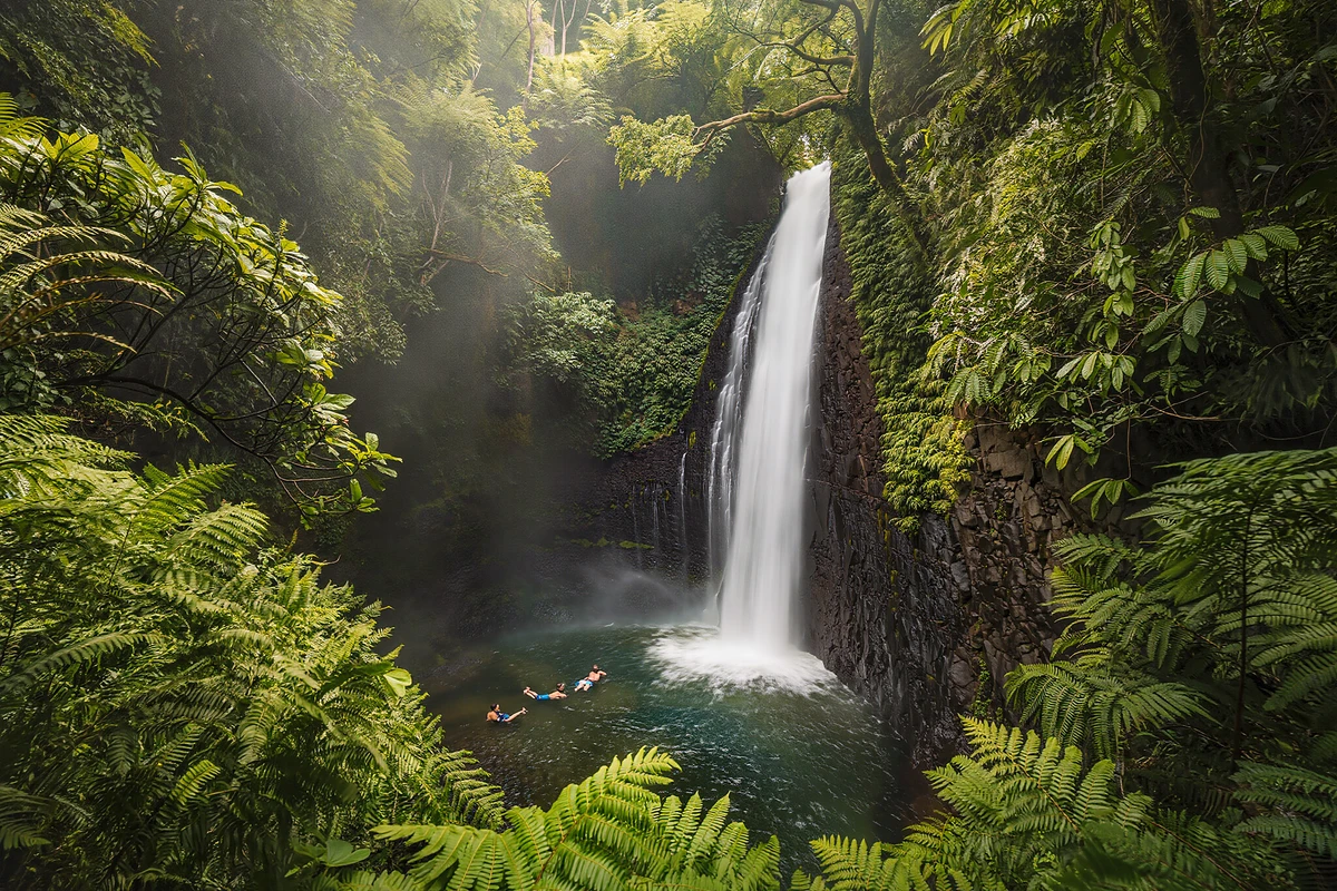 Rainforest Waterfalls Guided Hike with Picnic Lunch Maui