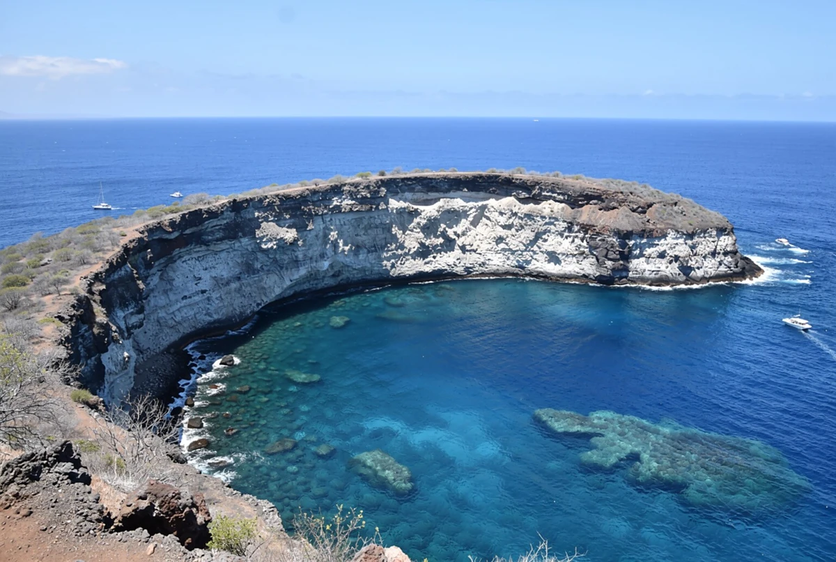Molokini and Turtle Town Snorkeling Cruise with Meals Maui