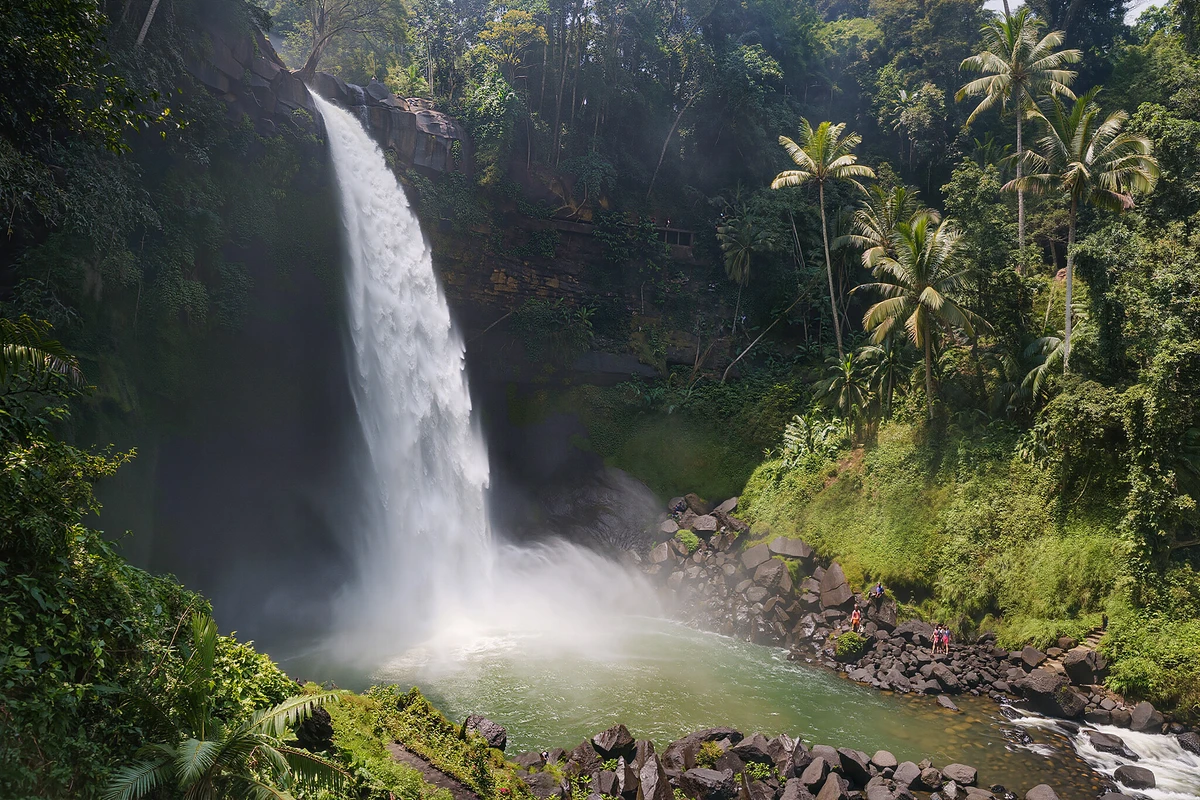 Ubud Full-Day Tour: Monkey Forest, Ceking Rice Terraces, Tegenungan Waterfall & Tirta Empul