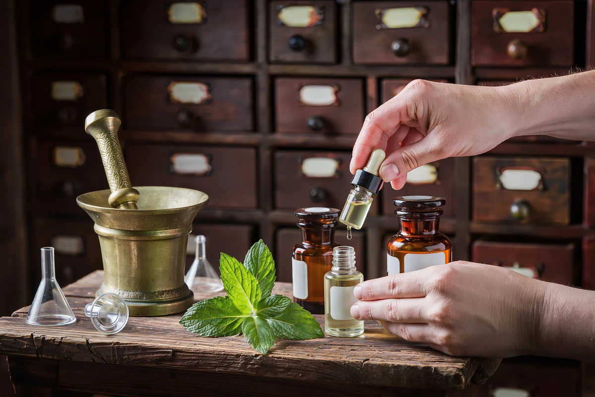 جولة مع مرشد وتذاكر قبو الصيدلية التاريخي فيينا