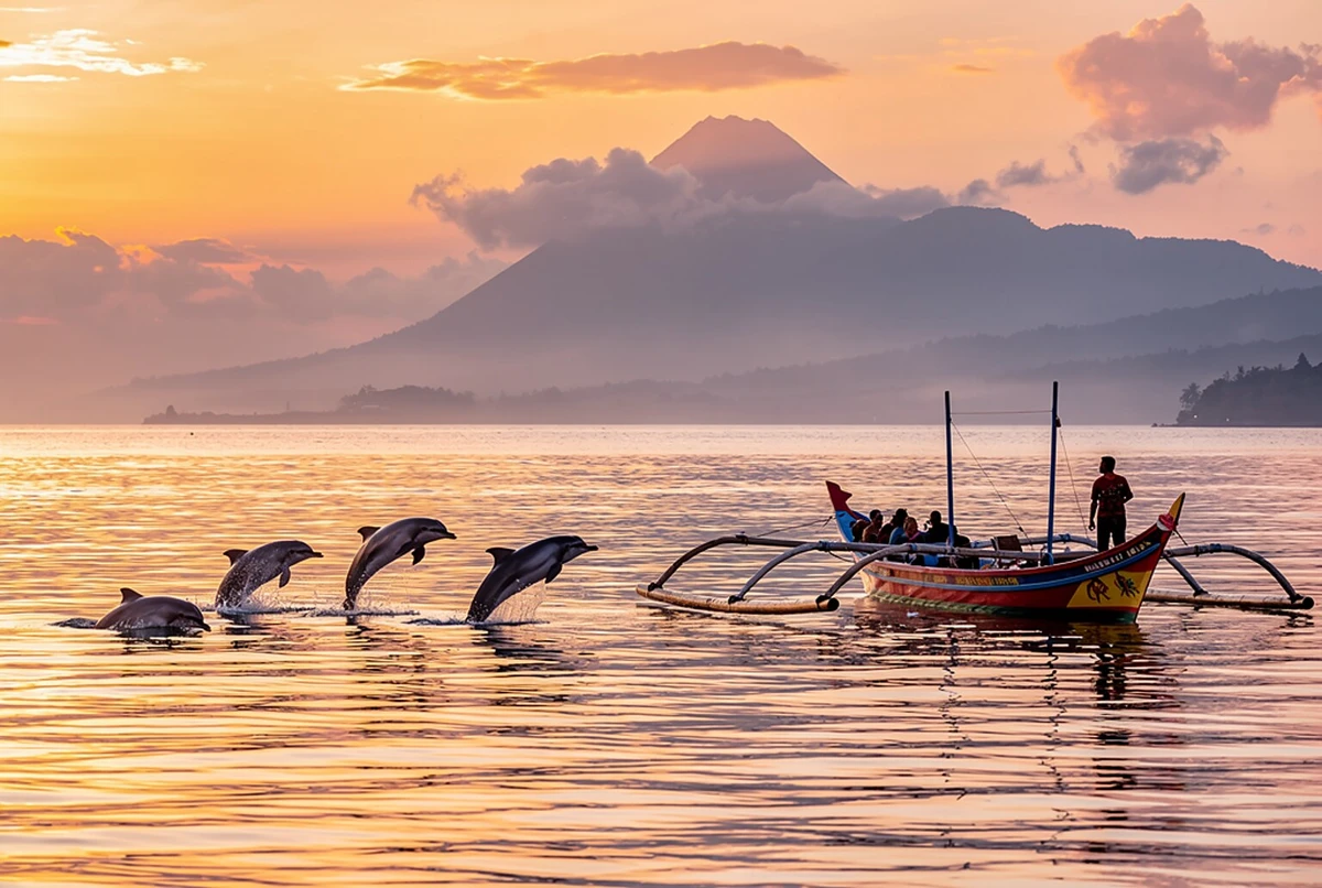 Lovina Sunrise Dolphin Watching & Snorkeling Boat Tour Bali