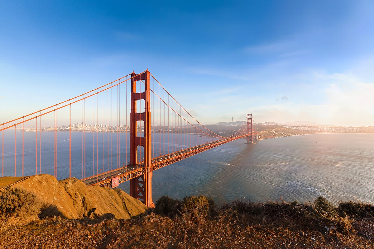 Muir Woods and Sausalito Small-Group Tour San Francisco