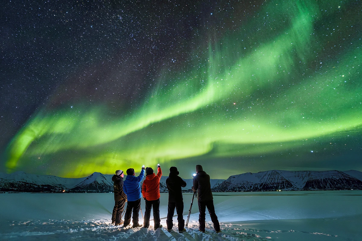 Northern Lights Bus Tour from Reykjavik