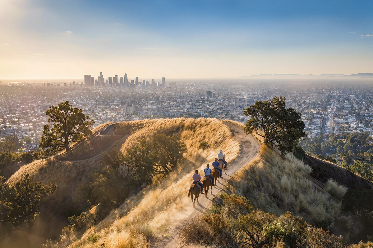 Griffith Park Horseback Trail Ride with Hollywood Sign Views Los Angeles