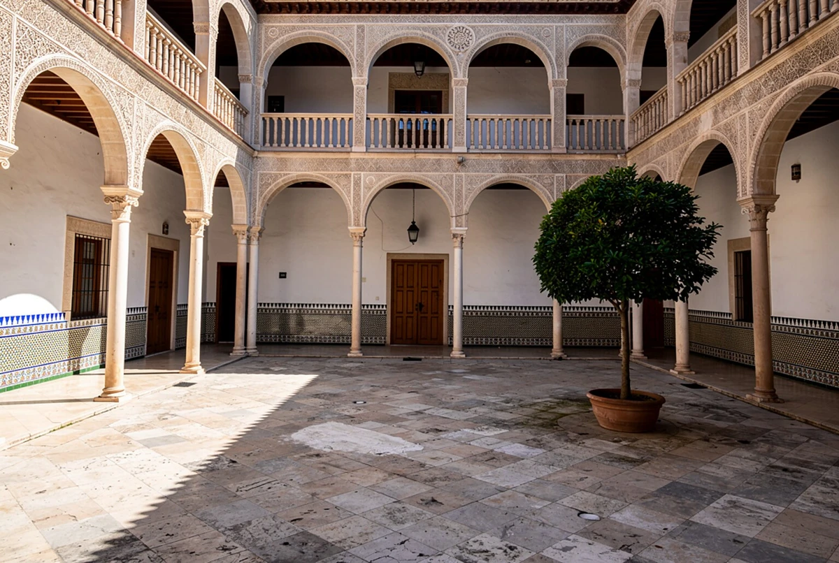 Museo Picasso Malaga Entry Ticket