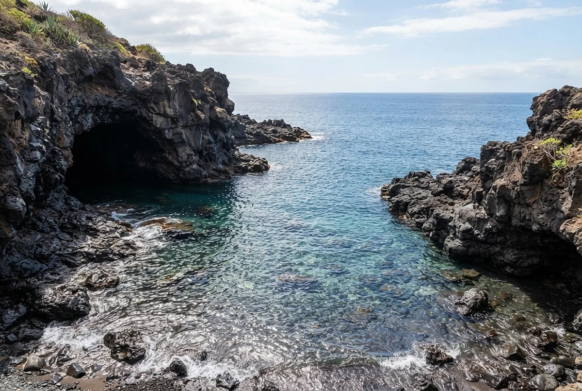 Kayak and Snorkelling Marine Wildlife Safari Tenerife