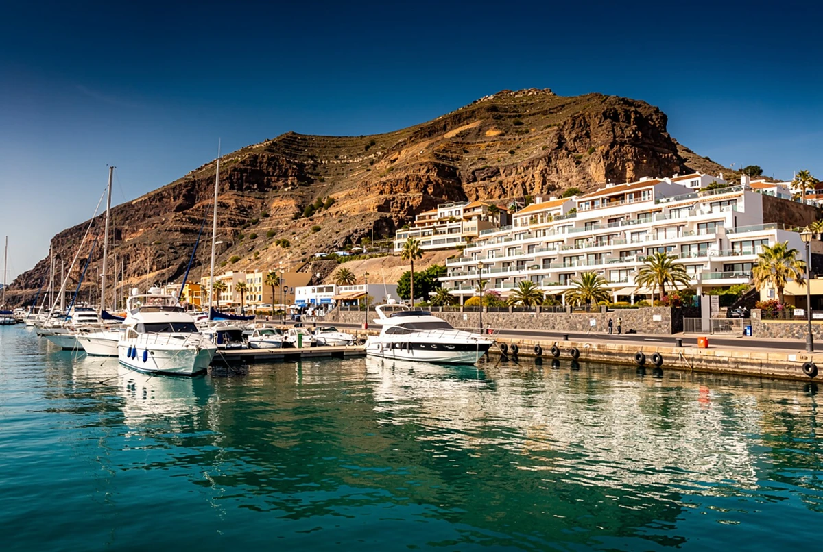 Dolphin Watching Catamaran Cruise with Snorkelling Gran Canaria