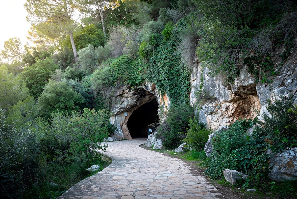 Caves of San Jose Boat Tour from Valencia