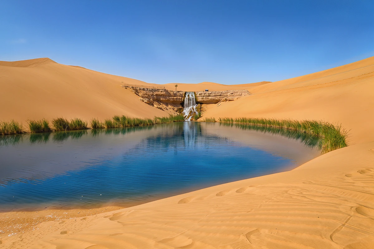 Private Fayoum, Wadi El Rayan and Wadi Al Hitan 4x4 Tour from Cairo