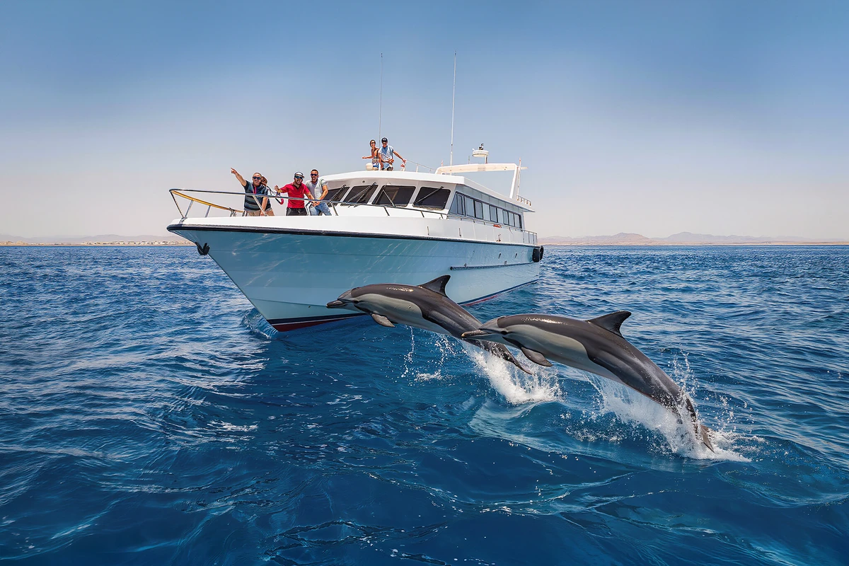 Dolphin Watching Speedboat with Snorkelling and 2 Islands Hurghada