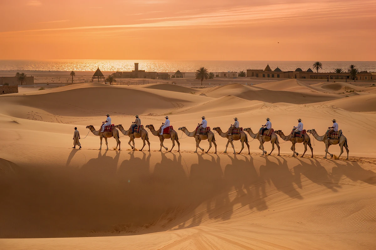 Desert and Sea Camel Riding Marsa Alam