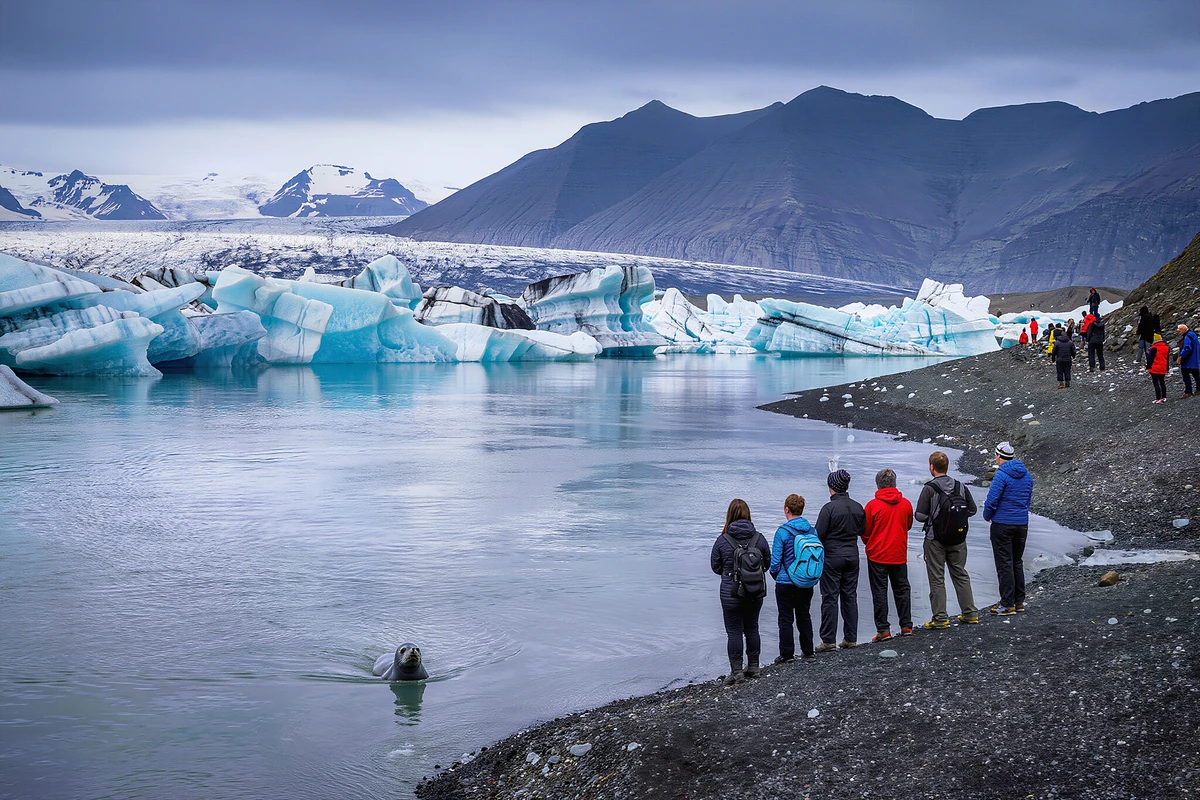 Jökulsárlón Glacier Lagoon & Diamond Beach Day Trip from Reykjavik