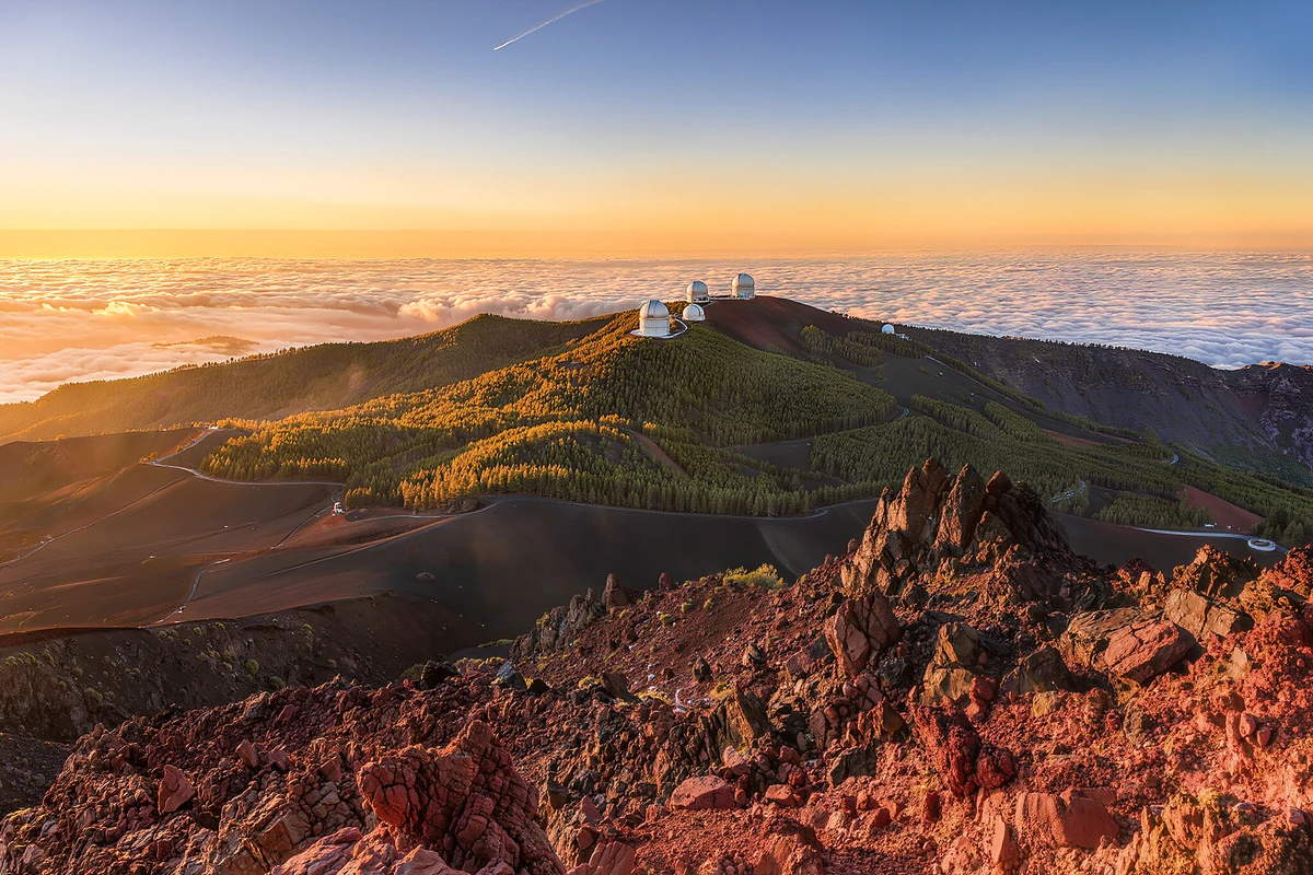 La Palma Boat Tour to Cumbre Vieja Lava Flows with Wildlife