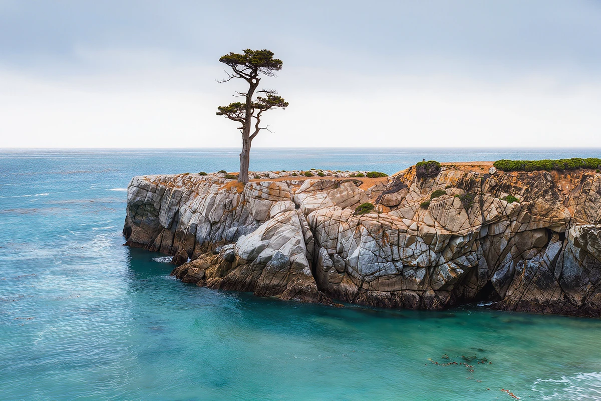 Monterey and Carmel Day Tour from San Francisco