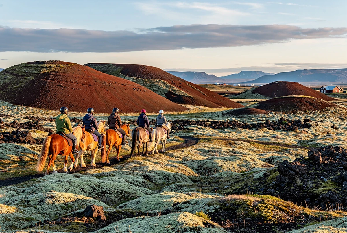 Icelandic Horse Riding Tour in the Red Lava Fields Reykjavik