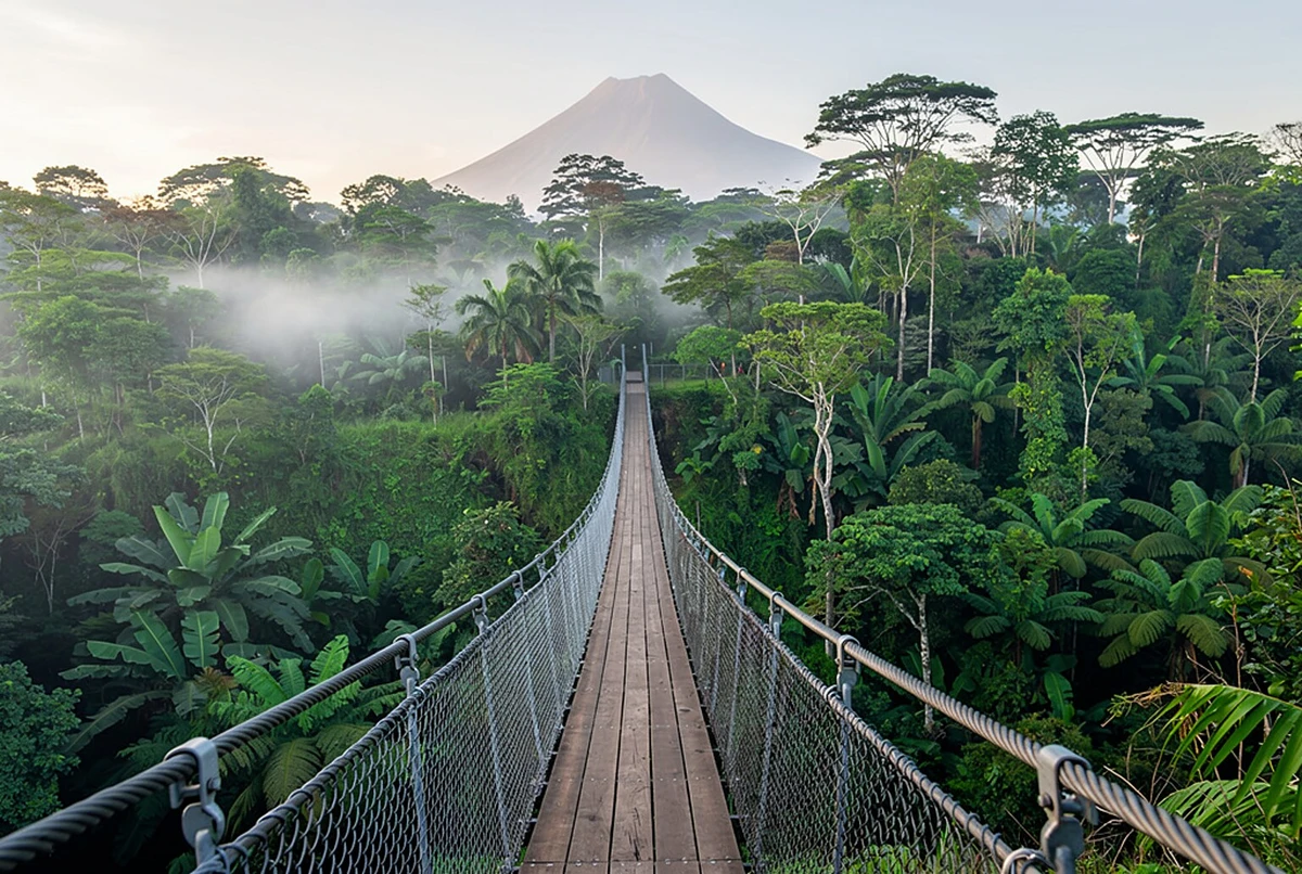 Mistico Arenal Hanging Bridges Entry Ticket