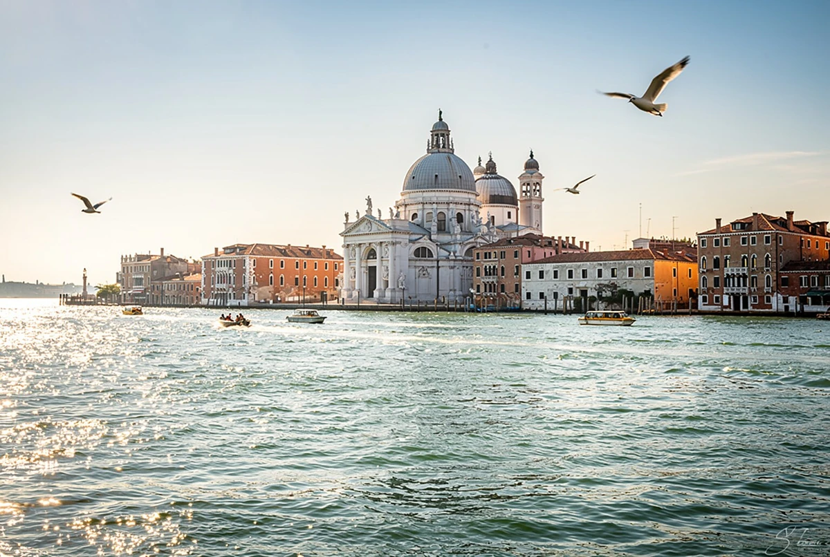 Venice Airport to Cruise Terminal